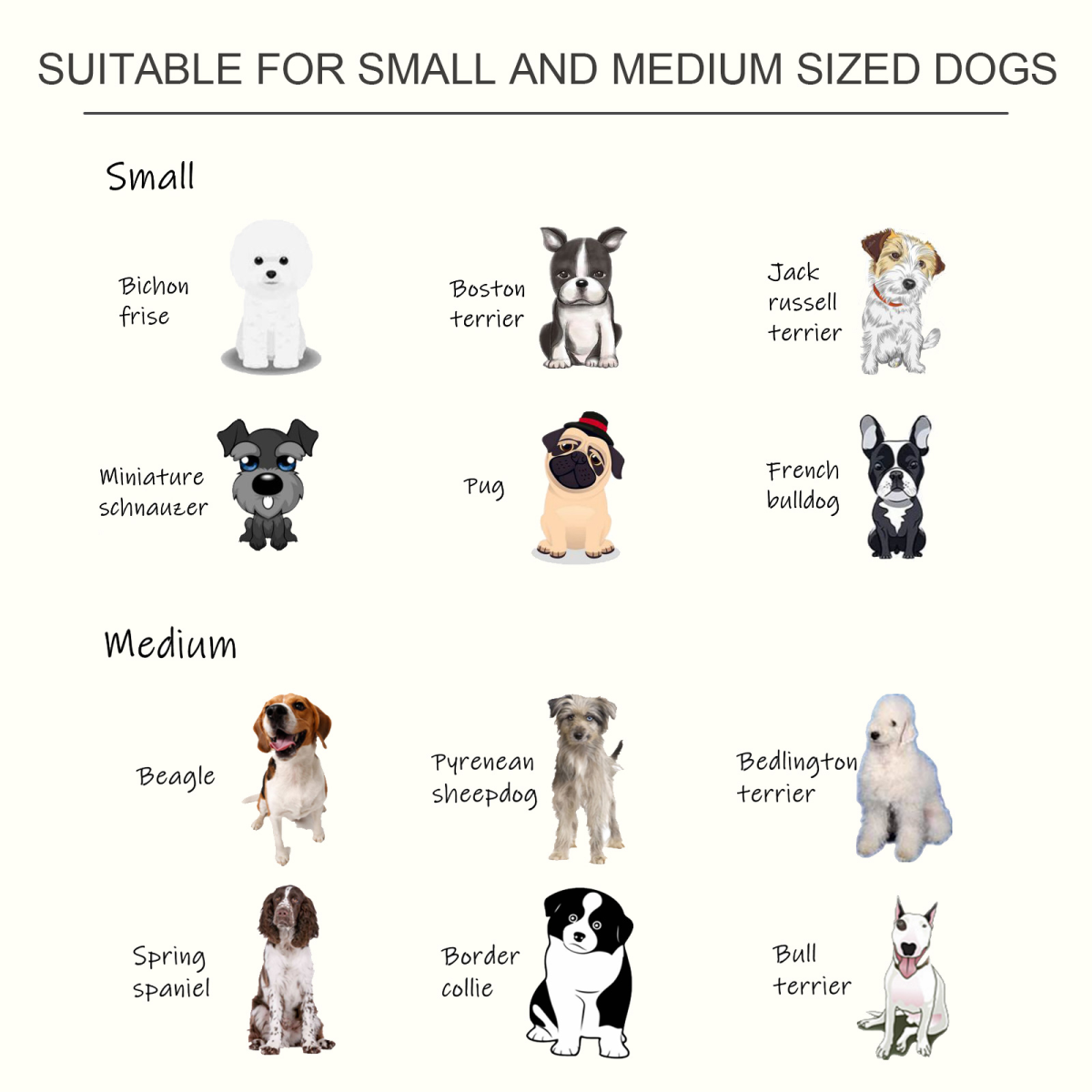 Raised Pet Feeder Elevated Double Staninless Steel Bowls Stand Water White