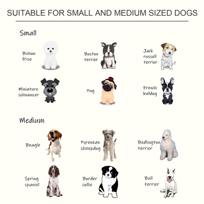 Raised Pet Feeder Elevated Double Staninless Steel Bowls Stand Water White